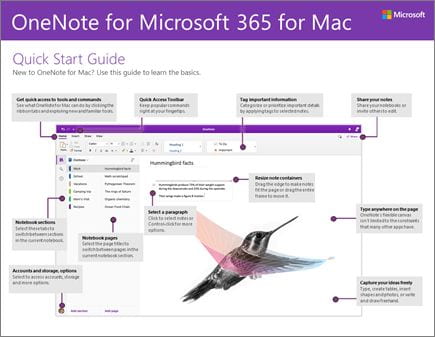 Thumbnail image of the OneNote for Mac Guide - Click to launch the guide