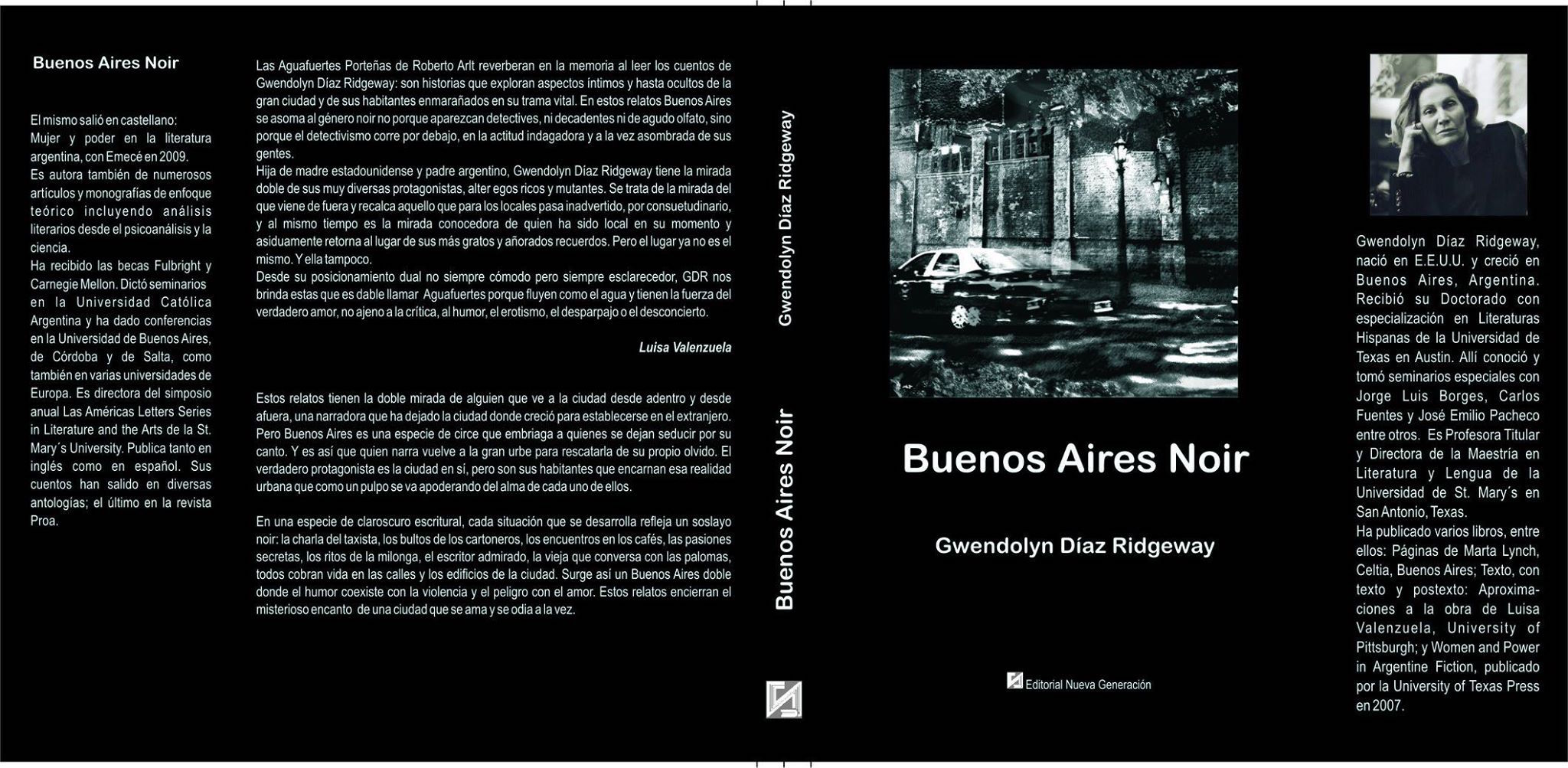 Buenos Aires Noir book cover